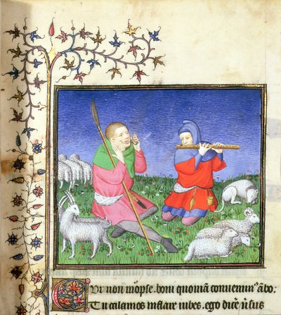 MS. 307, fol.20r Illustration de l